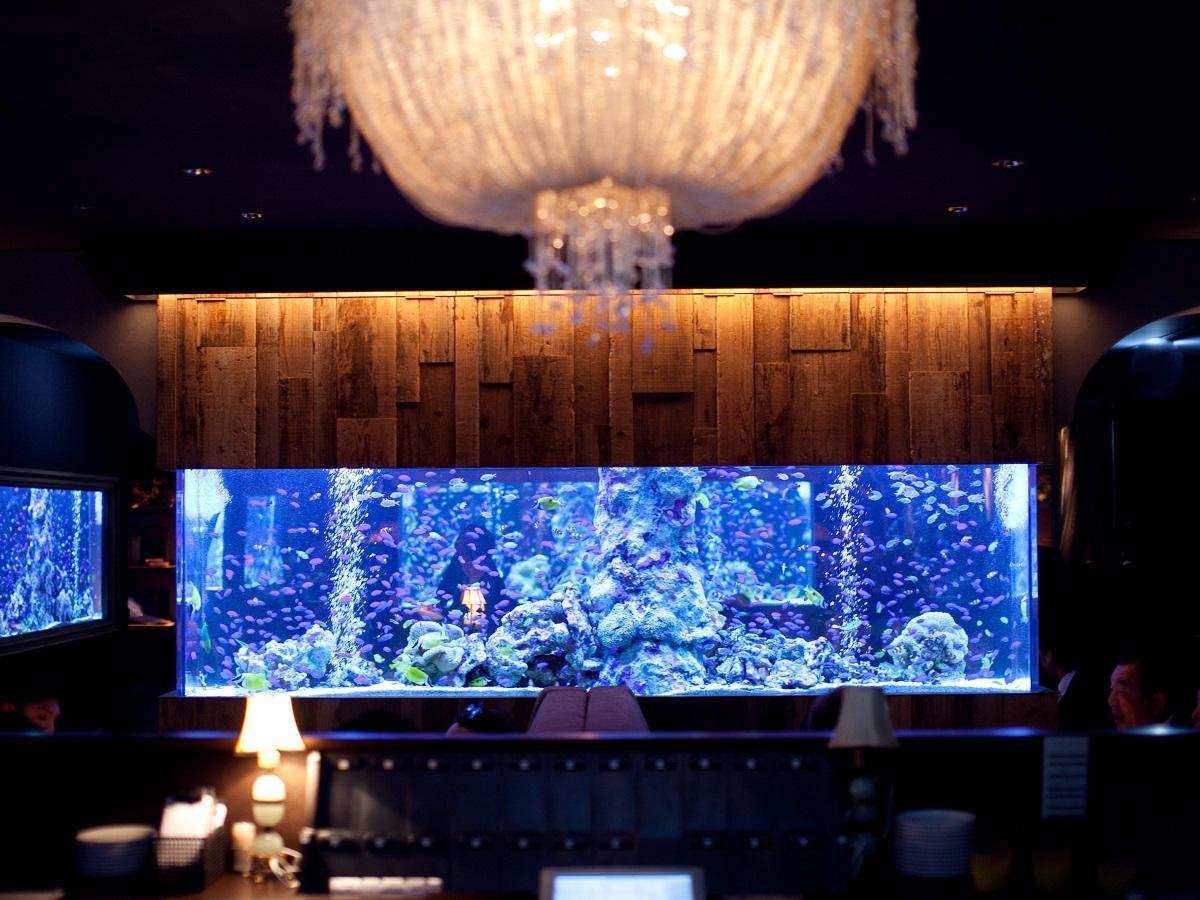 Cross Hotel Osaka photo3