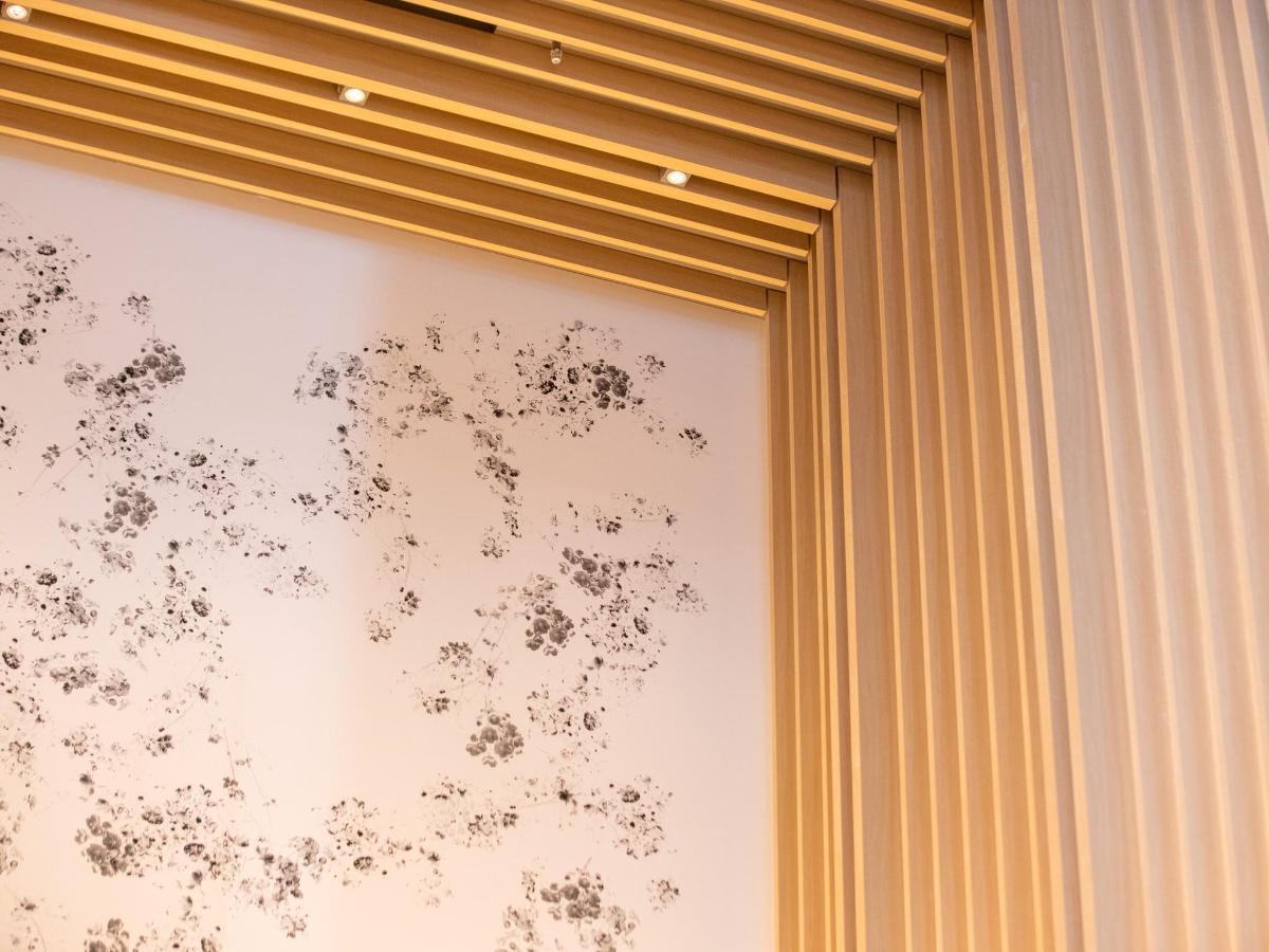 HOTEL FORZA KYOTO SHIJO KAWARAMACHI photo4