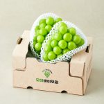 마트에서 망설였던 그 과일, 오늘 가장 현명하게 집는 법