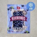 냉동실 문을 열 때마다 아쉬웠다면, 베리밸리 블루베리