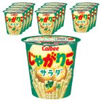 바삭함의 정석, 쟈가리코 사라다맛으로 입안 가득 채우는 즐거움