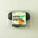 초록빛 껍질과 씨전쟁 치르다 결국 버리던 날들에 종지부를 찍는 법