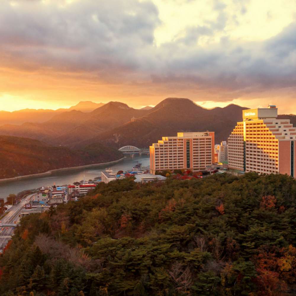 26만원짜리 쉰을 마저 쓰지 않음으로 버리는 진짜 손해, 계산해봤습니다